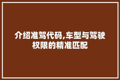 介绍准驾代码,车型与驾驶权限的精准匹配