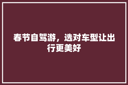 春节自驾游，选对车型让出行更美好 变速箱配件