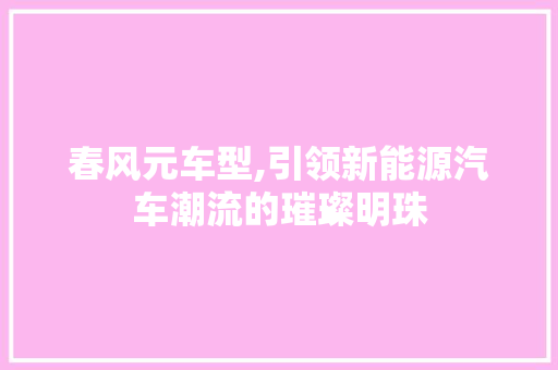 春风元车型,引领新能源汽车潮流的璀璨明珠