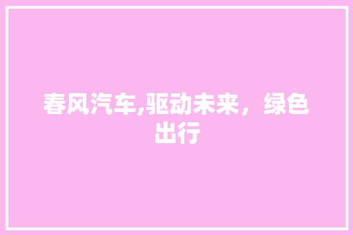 春风汽车,驱动未来，绿色出行