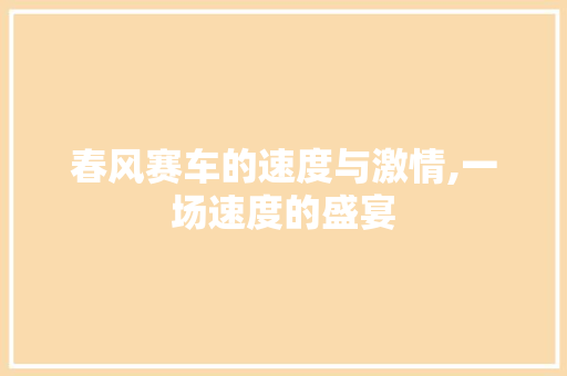 春风赛车的速度与激情,一场速度的盛宴
