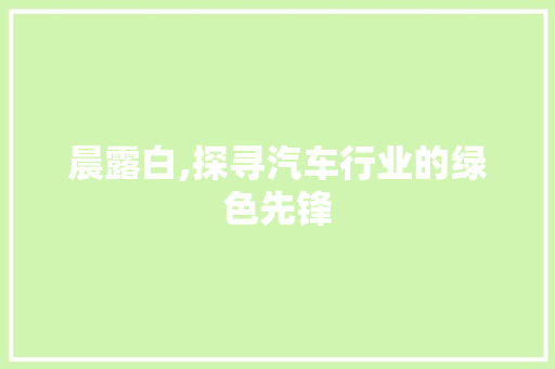 晨露白,探寻汽车行业的绿色先锋