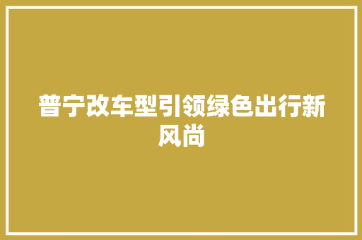 普宁改车型引领绿色出行新风尚