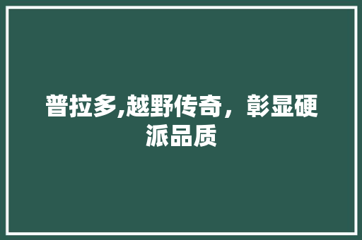 普拉多,越野传奇，彰显硬派品质