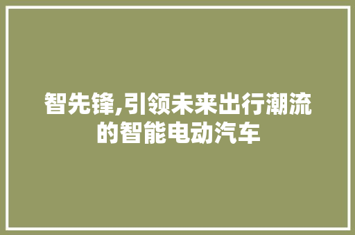 智先锋,引领未来出行潮流的智能电动汽车