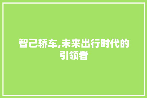 智己轿车,未来出行时代的引领者 底盘配件