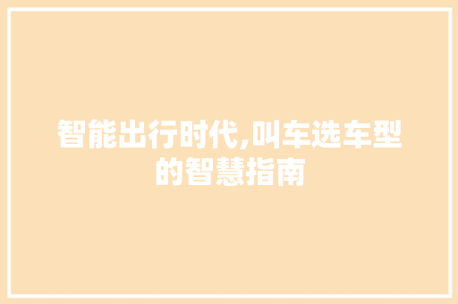 智能出行时代,叫车选车型的智慧指南