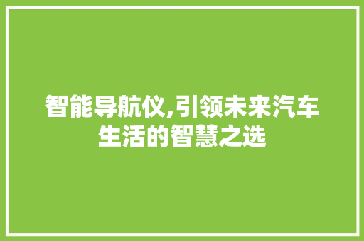 智能导航仪,引领未来汽车生活的智慧之选 新款车型
