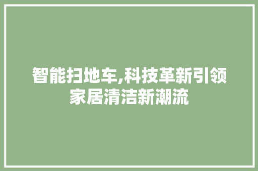 智能扫地车,科技革新引领家居清洁新潮流
