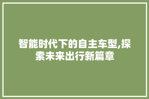 智能时代下的自主车型,探索未来出行新篇章