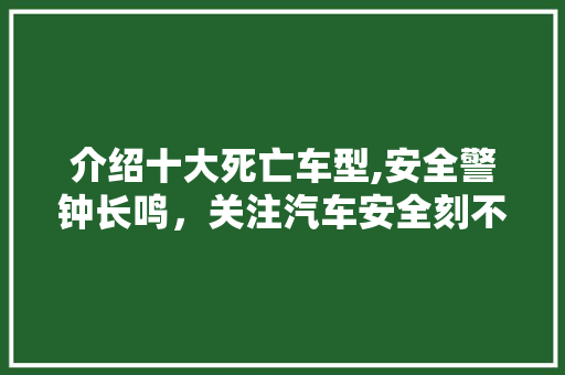 介绍十大死亡车型,安全警钟长鸣，关注汽车安全刻不容缓