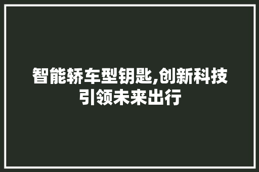 智能轿车型钥匙,创新科技引领未来出行