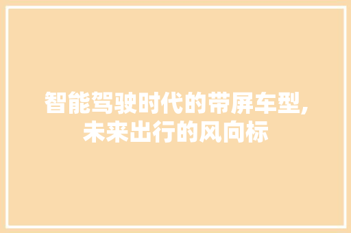 智能驾驶时代的带屏车型,未来出行的风向标