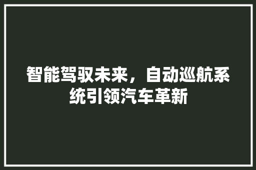 智能驾驭未来，自动巡航系统引领汽车革新