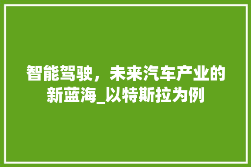 智能驾驶，未来汽车产业的新蓝海_以特斯拉为例
