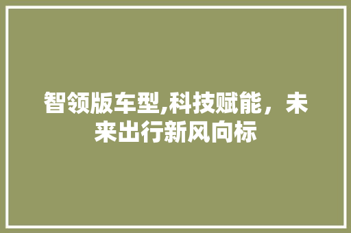 智领版车型,科技赋能，未来出行新风向标