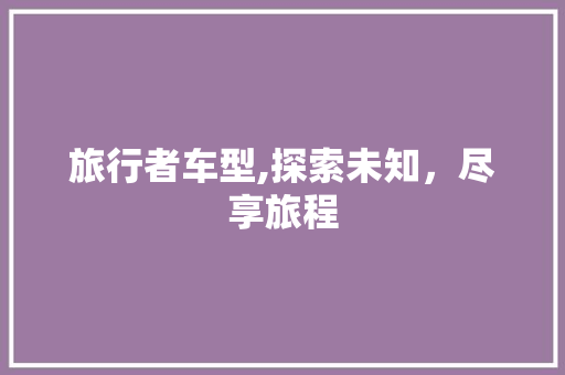 旅行者车型,探索未知，尽享旅程