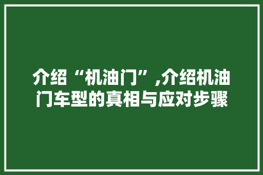 介绍“机油门”,介绍机油门车型的真相与应对步骤