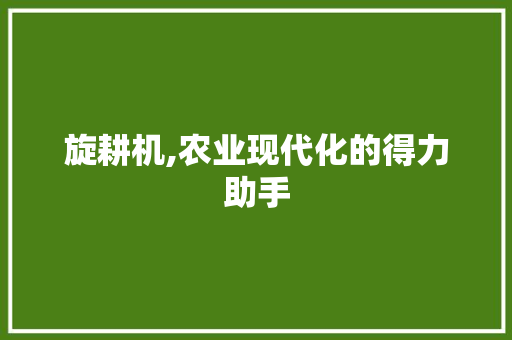 旋耕机,农业现代化的得力助手