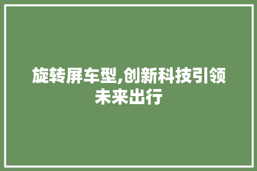 旋转屏车型,创新科技引领未来出行