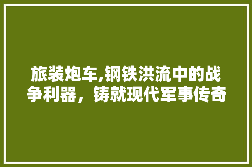 旅装炮车,钢铁洪流中的战争利器，铸就现代军事传奇