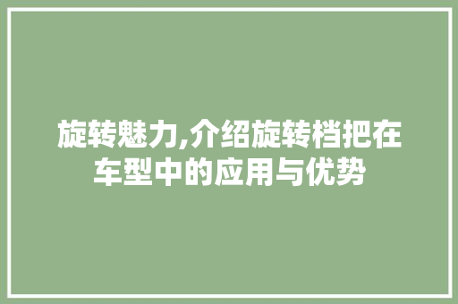 旋转魅力,介绍旋转档把在车型中的应用与优势