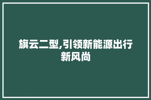 旗云二型,引领新能源出行新风尚