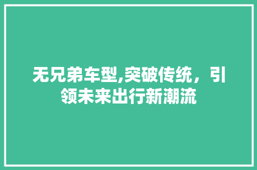 无兄弟车型,突破传统，引领未来出行新潮流