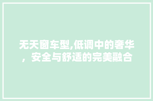 无天窗车型,低调中的奢华，安全与舒适的完美融合