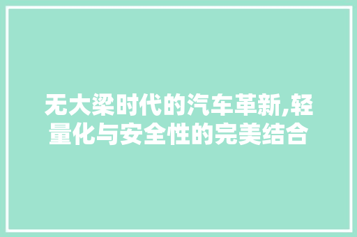 无大梁时代的汽车革新,轻量化与安全性的完美结合