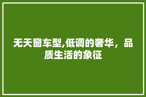 无天窗车型,低调的奢华，品质生活的象征