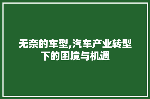 无奈的车型,汽车产业转型下的困境与机遇