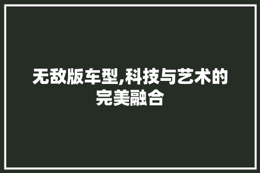 无敌版车型,科技与艺术的完美融合