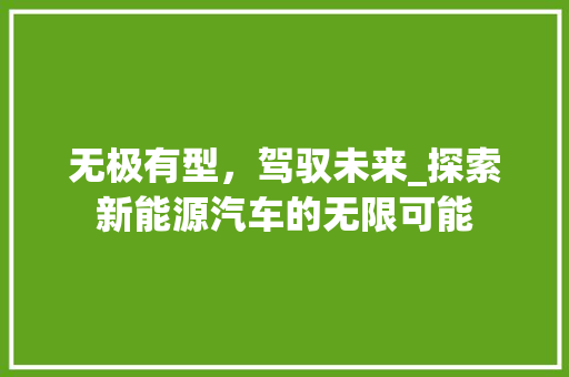 无极有型，驾驭未来_探索新能源汽车的无限可能