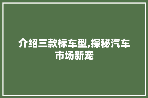介绍三款标车型,探秘汽车市场新宠