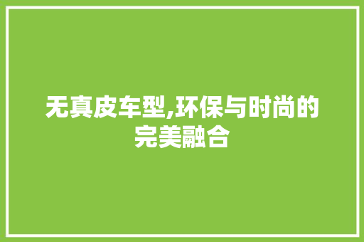 无真皮车型,环保与时尚的完美融合