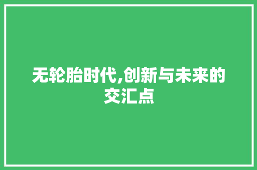 无轮胎时代,创新与未来的交汇点