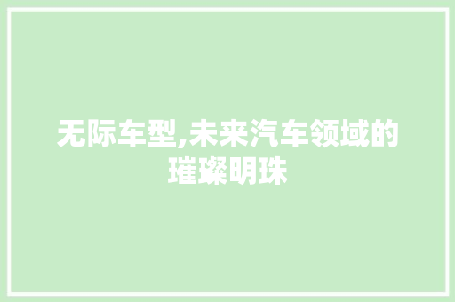 无际车型,未来汽车领域的璀璨明珠