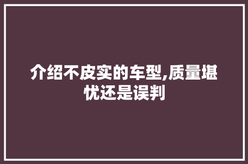 介绍不皮实的车型,质量堪忧还是误判