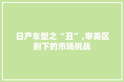 日产车型之“丑”,审美区别下的市场挑战