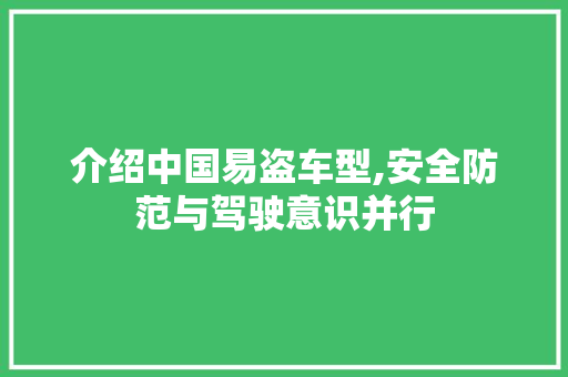 介绍中国易盗车型,安全防范与驾驶意识并行