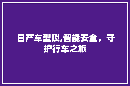 日产车型锁,智能安全，守护行车之旅
