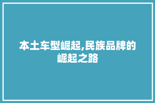 本土车型崛起,民族品牌的崛起之路
