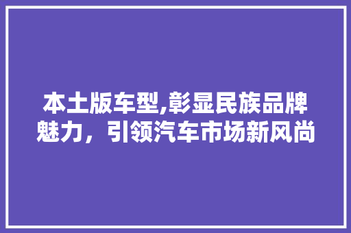 本土版车型,彰显民族品牌魅力，引领汽车市场新风尚