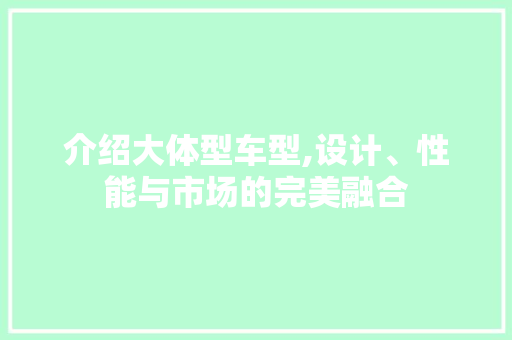 介绍大体型车型,设计、性能与市场的完美融合