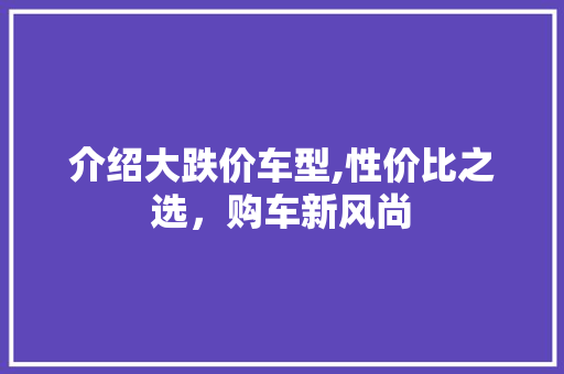 介绍大跌价车型,性价比之选，购车新风尚