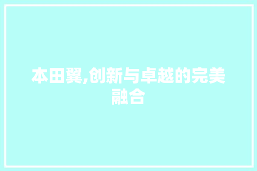 本田翼,创新与卓越的完美融合