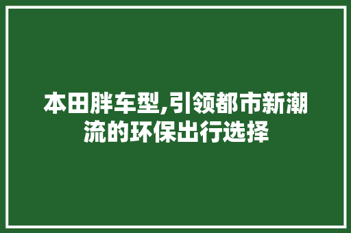 本田胖车型,引领都市新潮流的环保出行选择 车身配件