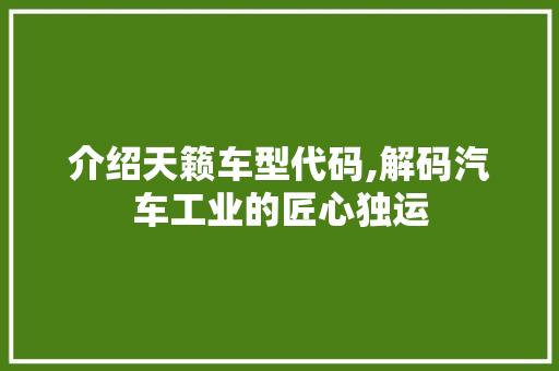 介绍天籁车型代码,解码汽车工业的匠心独运