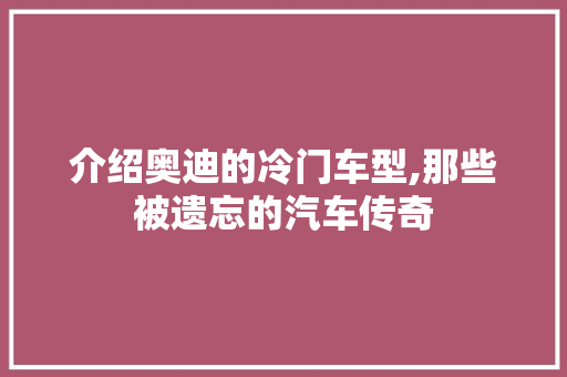 介绍奥迪的冷门车型,那些被遗忘的汽车传奇